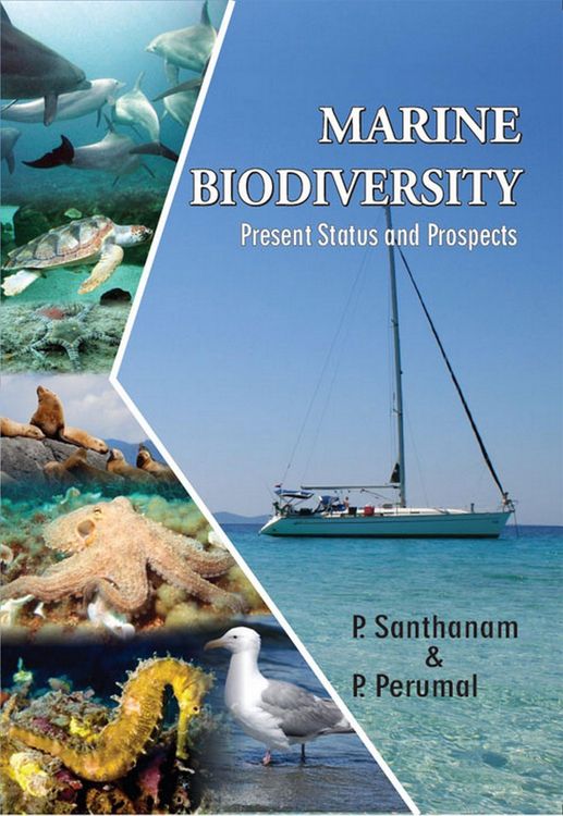 Produktbild: Marine Biodiversity: Present Status And Prospects