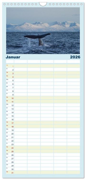 Produktbild: Familienplaner 2026 - Die Wale von Andenes mit 5 Spalten (Wandkalender, 21 x 45 cm) CALVENDO