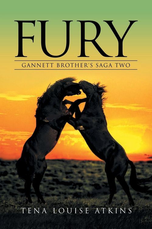 Produktbild: Fury