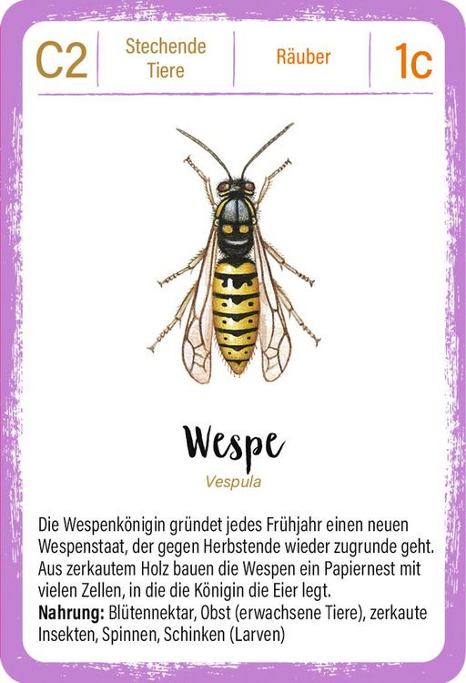 Produktbild: Expedition Natur Quartett Minimonster