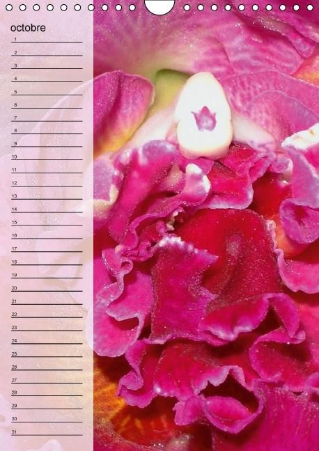 Produktbild: Blank, R: Fleurs tropicales / calendrier anniversaire (Calen