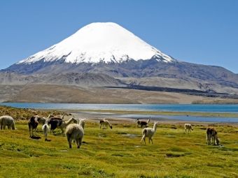 Produktbild: CALVENDO Puzzle Parinacota Vulkan, Lauca Nationalpark, Norte Grande | 1000 Teile Lege-Gr&ouml;&szlig;e 64x48cm Foto-Puzzle f&uuml;r gl&uuml;ckliche Stunden