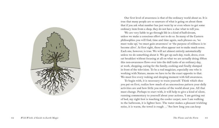 Produktbild: WILD WITCH HB