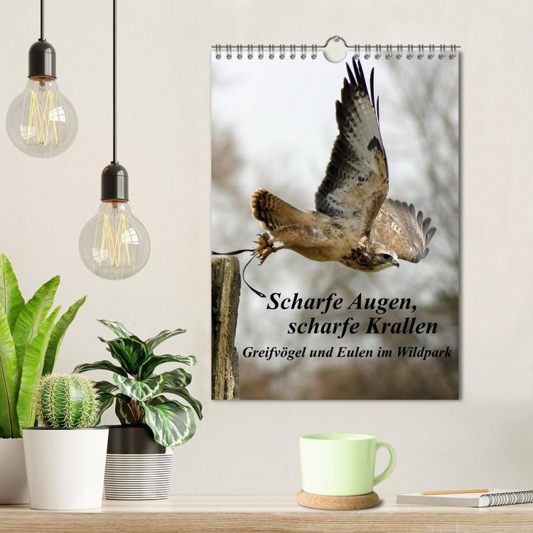 Produktbild: Scharfe Krallen, scharfe Augen, Greifv&ouml;gel und Eulen im Wildpark (Wandkalender 2026 DIN A4 hoch), CALVENDO Monatskalender