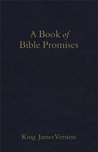 Produktbild: KJV Book of Bible Promises Midnight Blue