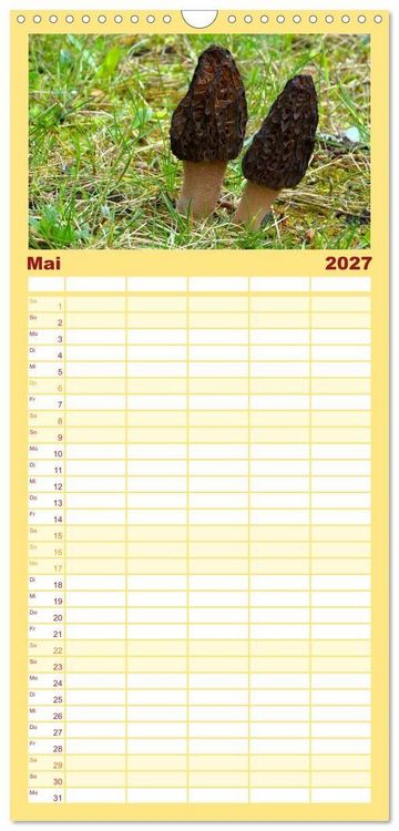 Produktbild: Familienplaner 2027 - Heimische Pilze mit 5 Spalten (Wandkalender, 21 x 45 cm) CALVENDO