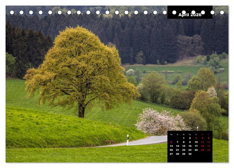 Produktbild: Malerisches Sauerland (Tischkalender 2026 DIN A5 quer), CALVENDO Monatskalender
