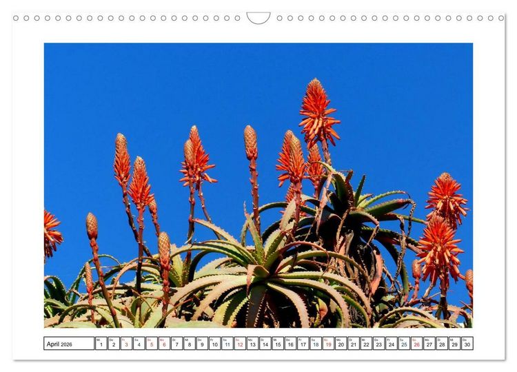 Produktbild: Lanzarote - Playa Blanca (Wandkalender 2026 DIN A3 quer), CALVENDO Monatskalender
