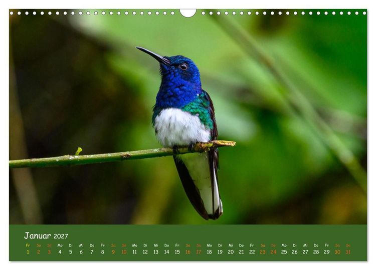 Produktbild: Costa Rica - Naturparadies zwischen Karibik und Pazifik (Wandkalender 2027 DIN A3 quer), CALVENDO Monatskalender