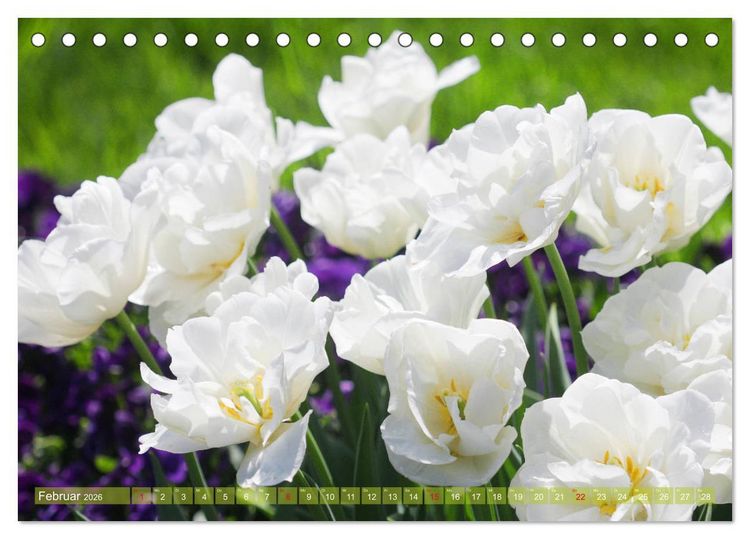 Produktbild: Wei&szlig;e Fr&uuml;hlingsbl&uuml;ten (Tischkalender 2026 DIN A5 quer), CALVENDO Monatskalender