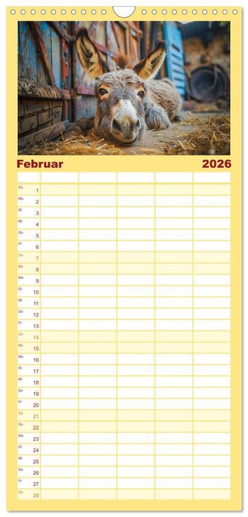 Produktbild: Familienplaner 2026 - Lustige Eselgeschichten mit 5 Spalten (Wandkalender, 21 x 45 cm) CALVENDO