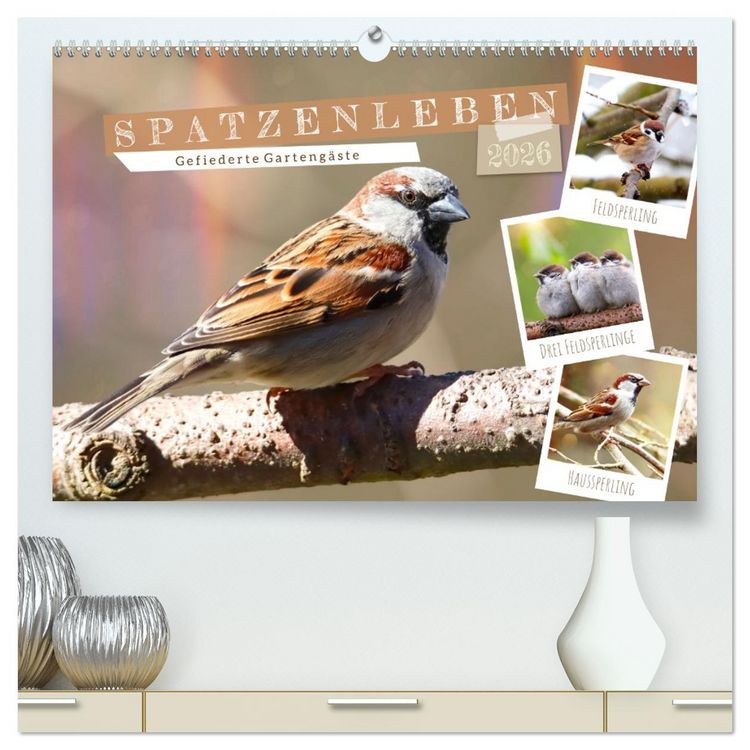 Produktbild: Gefiederte Garteng&auml;ste, Spatzenleben (hochwertiger Premium Wandkalender 2026 DIN A2 quer), Kunstdruck in Hochglanz