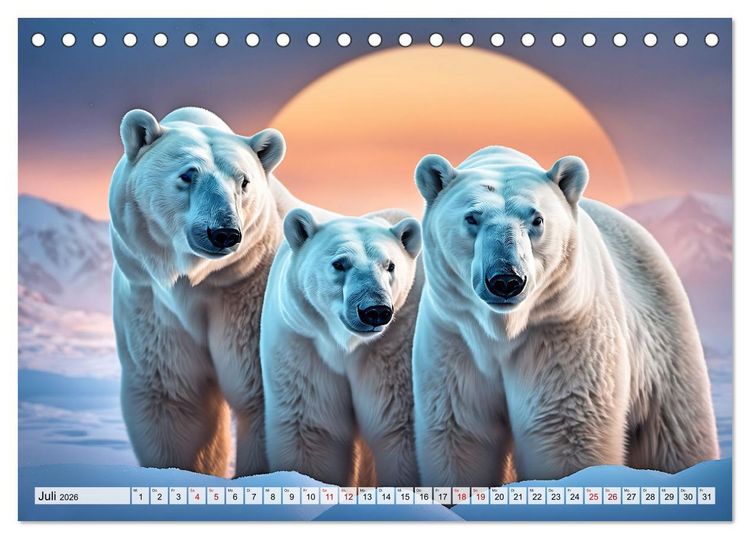 Produktbild: Im magischen Land der Eisb&auml;ren (Tischkalender 2026 DIN A5 quer), CALVENDO Monatskalender
