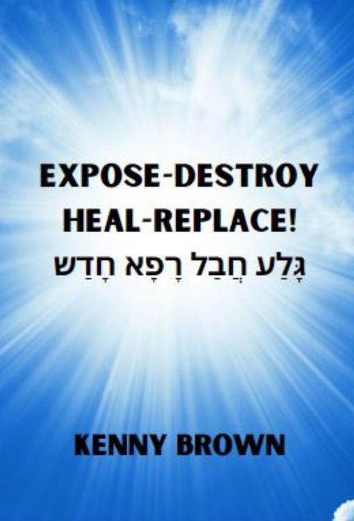 Produktbild: Expose- Destroy- Heal- Replace!