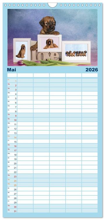 Produktbild: Familienplaner 2026 - Briardbabys in ihren ersten Wochen mit 5 Spalten (Wandkalender, 21 x 45 cm) CALVENDO