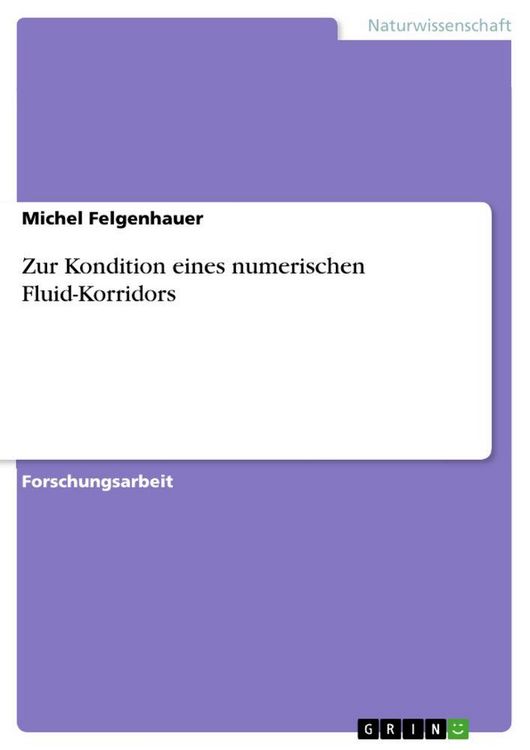 Produktbild: Zur Kondition eines numerischen Fluid-Korridors