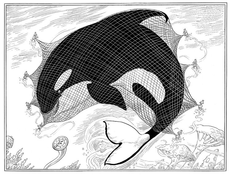 Produktbild: A Mermaid's Rescue