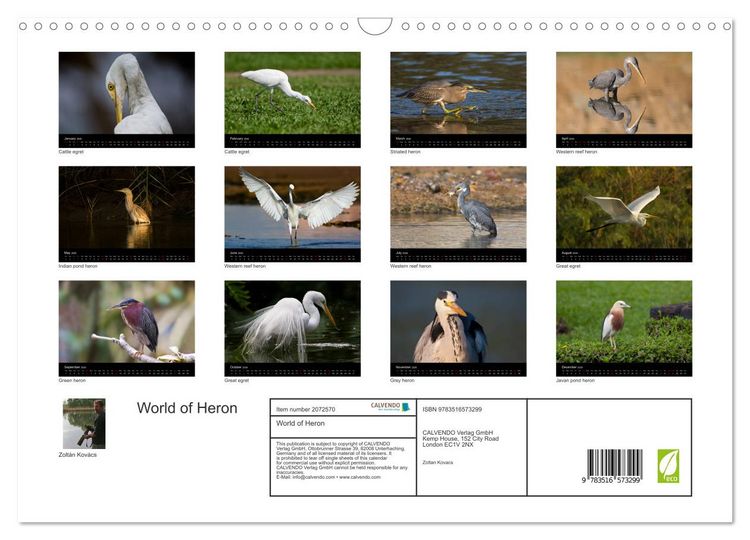 Produktbild: World of Heron (Wall Calendar 2026 DIN A3 landscape), CALVENDO 12 Month Wall Calendar