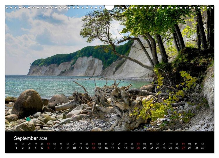 Produktbild: Baum-Variationen (Wandkalender 2026 DIN A3 quer), CALVENDO Monatskalender