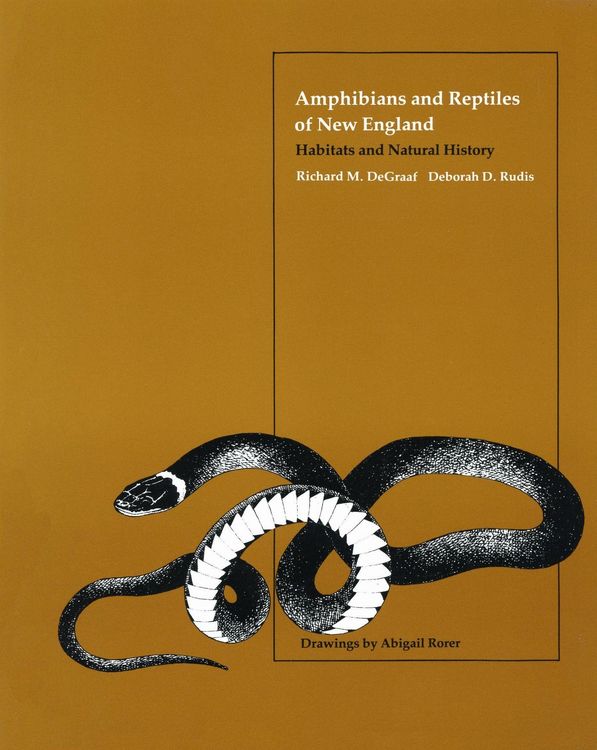Produktbild: Amphibians and Reptiles of New England