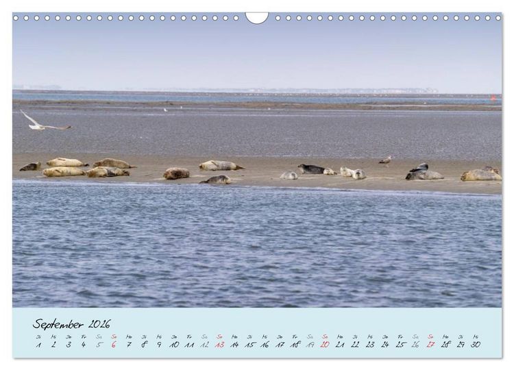 Produktbild: Nordsee &ndash; D&uuml;nen, Sand, Wasser und Wolken (Wandkalender 2026 DIN A3 quer), CALVENDO Monatskalender