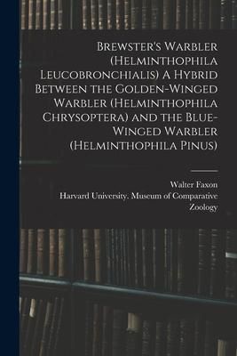 Produktbild: Brewster's Warbler (Helminthophila Leucobronchialis) A Hybrid Between the Golden-winged Warbler (Helminthophila Chrysoptera) and the Blue-winged Warbl