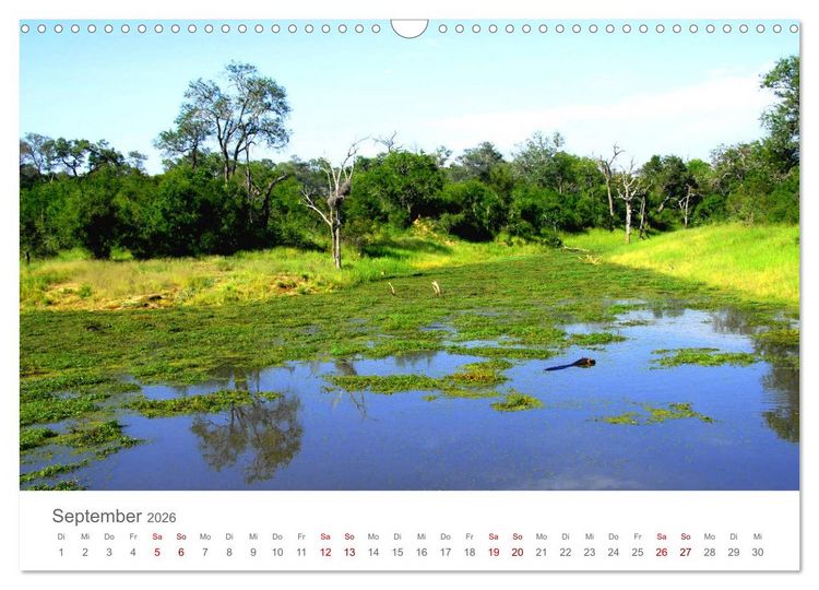 Produktbild: Safari / Afrika (Wandkalender 2026 DIN A3 quer), CALVENDO Monatskalender