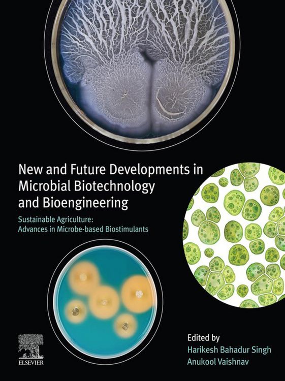 Produktbild: New and Future Developments in Microbial Biotechnology and Bioengineering