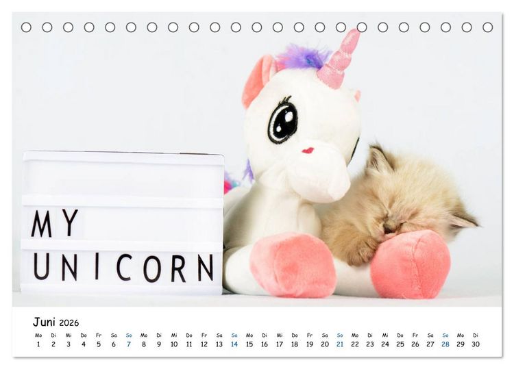 Produktbild: Tierkinder ganz frech (Tischkalender 2026 DIN A5 quer), CALVENDO Monatskalender