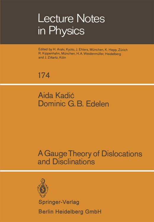 Produktbild: A Gauge Theory of Dislocations and Disclinations