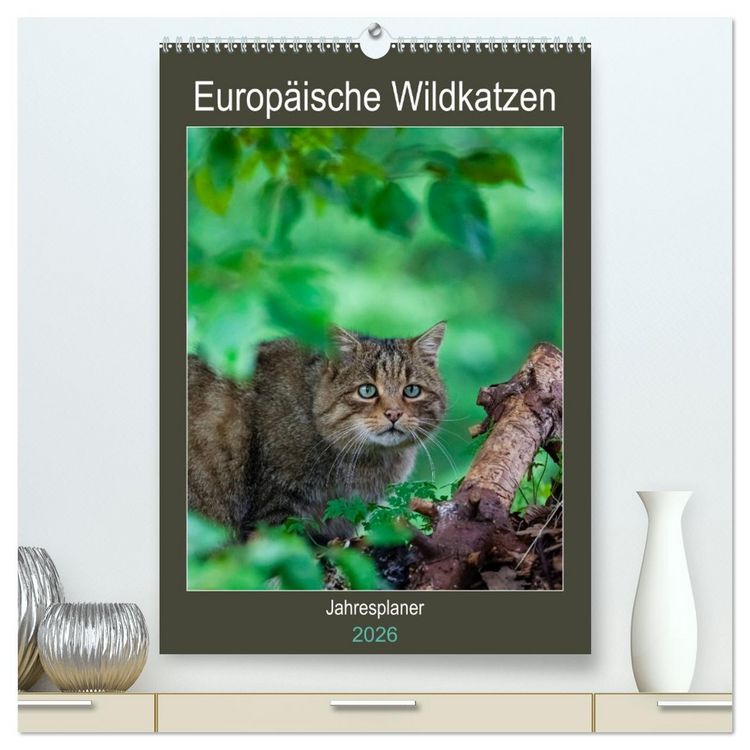 Produktbild: Europ&auml;ische Wildkatzen - Jahresplaner (hochwertiger Premium Wandkalender 2026 DIN A2 hoch), Kunstdruck in Hochglanz
