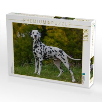 Produktbild: CALVENDO Puzzle Dalmatiner im Herbst | 1000 Teile Lege-Gr&ouml;&szlig;e 64x48cm Foto-Puzzle f&uuml;r gl&uuml;ckliche Stunden