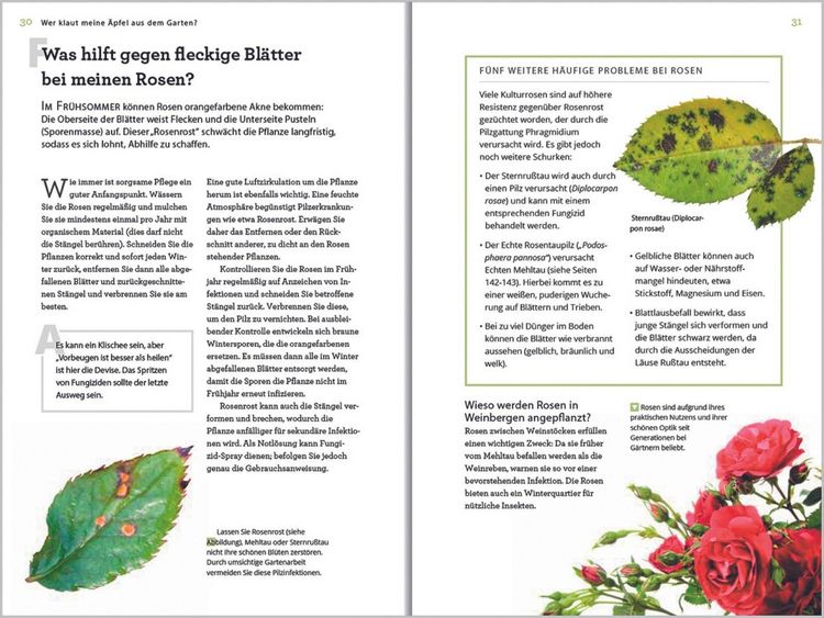 Produktbild: Wer klaut meine &Auml;pfel aus dem Garten