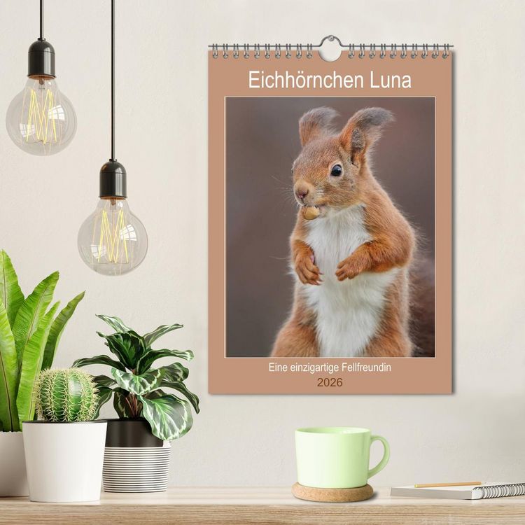 Produktbild: Eichh&ouml;rnchen Luna (Wandkalender 2026 DIN A4 hoch), CALVENDO Monatskalender