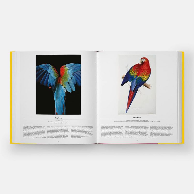 Produktbild: Bird: Exploring the Winged World