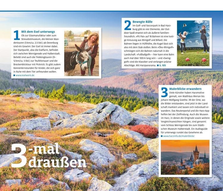 Produktbild: Harz