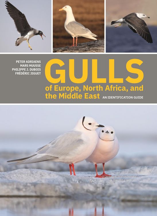 Produktbild: Gulls of Europe, North Africa, and the Middle East
