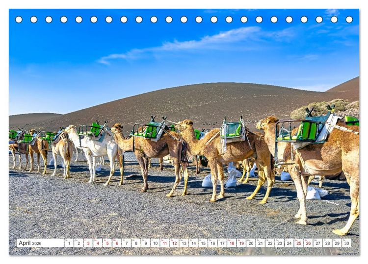 Produktbild: Lanzarote - Wo die Vulkane die Landschaft formten (Tischkalender 2026 DIN A5 quer), CALVENDO Monatskalender