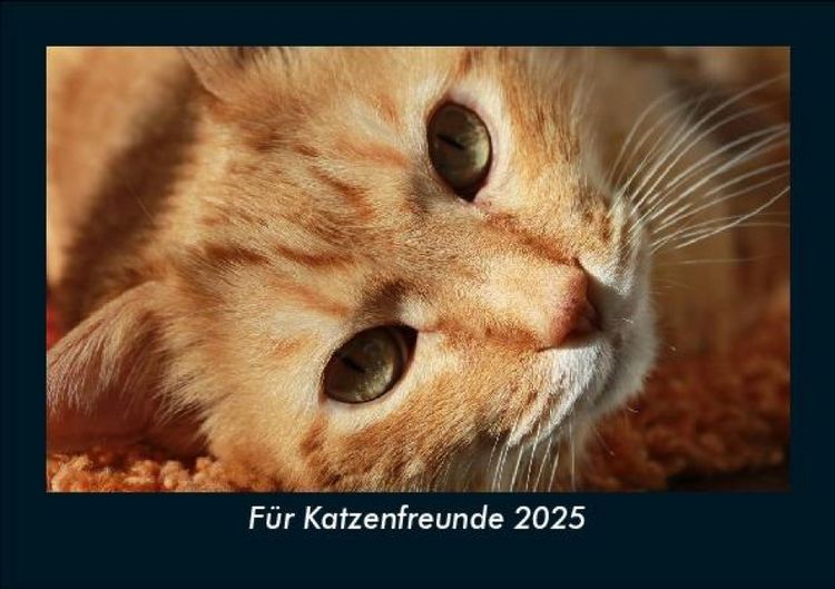 Produktbild: F&uuml;r Katzenfreunde 2025 Fotokalender DIN A5