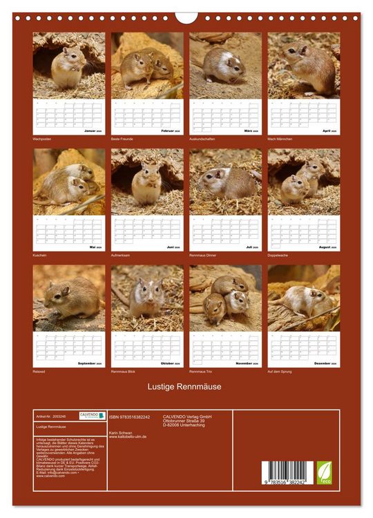 Produktbild: Lustige Rennm&auml;use (Wandkalender 2026 DIN A3 hoch), CALVENDO Monatskalender