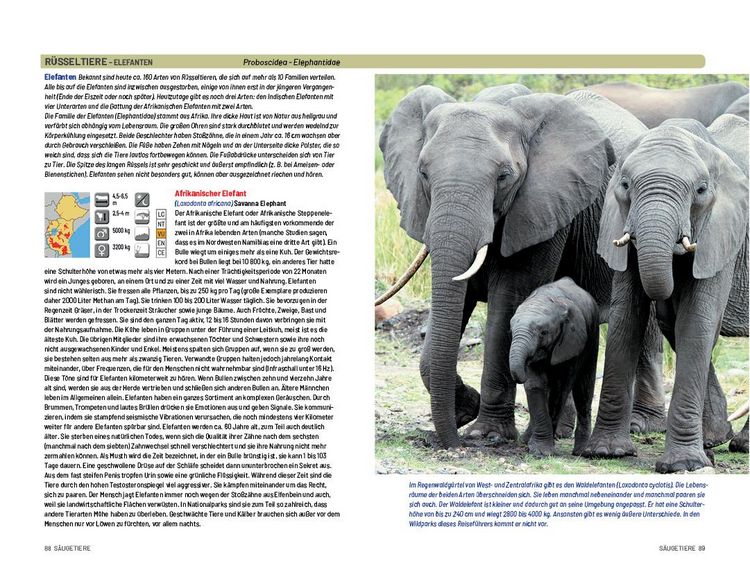 Produktbild: Safari-Reisef&uuml;hrer Ostafrika