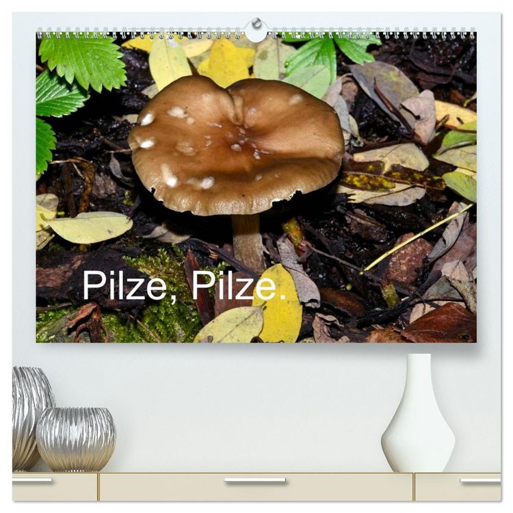 Produktbild: Pilze, Pilze (hochwertiger Premium Wandkalender 2026 DIN A2 quer), Kunstdruck in Hochglanz
