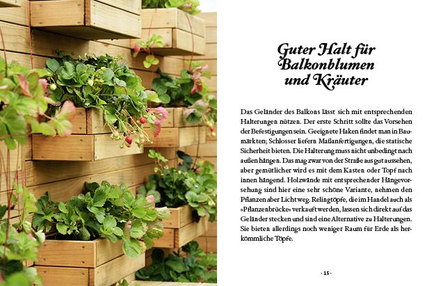 Produktbild: Das kleine Buch: Topfg&auml;rtner