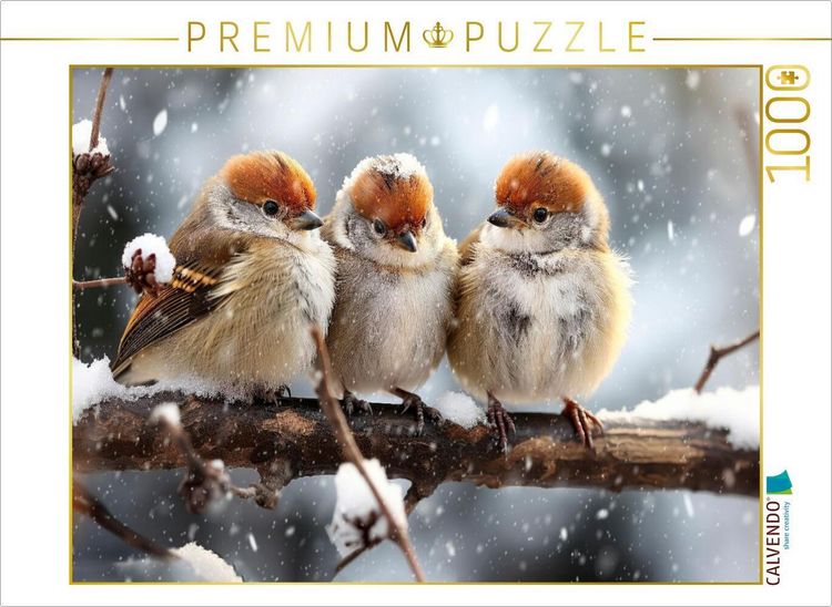 Produktbild: CALVENDO Puzzle V&ouml;gel, wir r&uuml;cken zusammen | 1000 Teile Lege-Gr&ouml;&szlig;e 64x48cm Foto-Puzzle f&uuml;r gl&uuml;ckliche Stunden