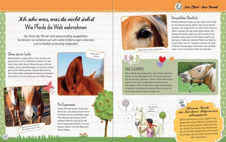 Produktbild: Pferdeliebe und Reitergl&uuml;ck