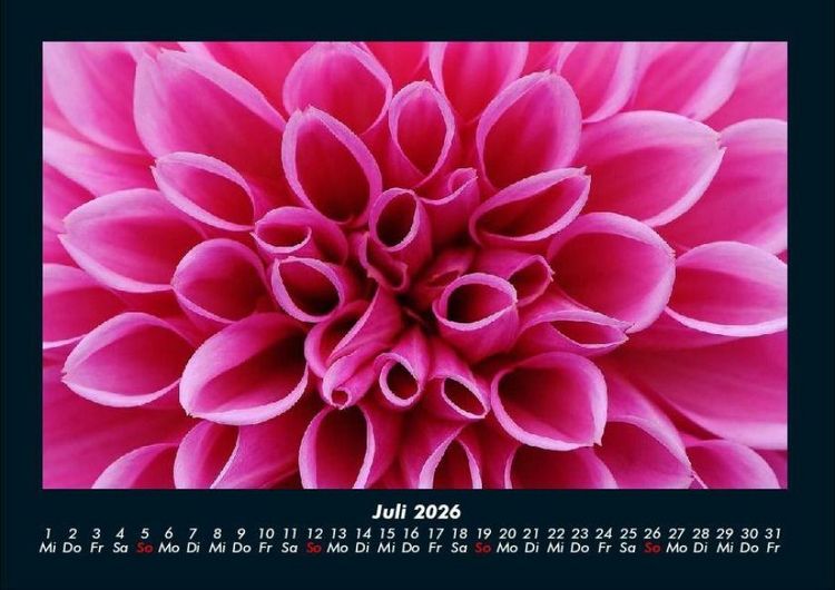 Produktbild: Blumentr&auml;ume 2026 Fotokalender DIN A4