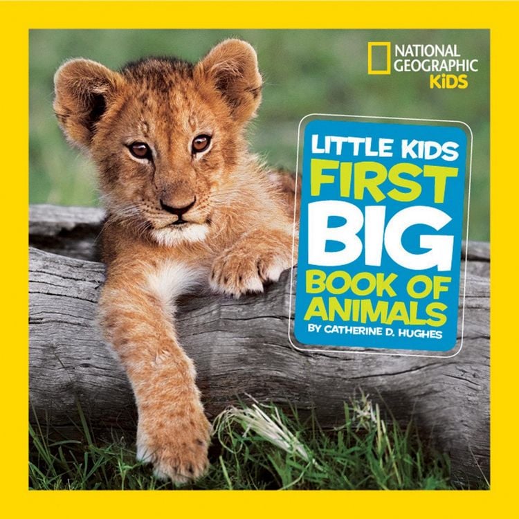 Produktbild: Little Kids First Big Book of Animals