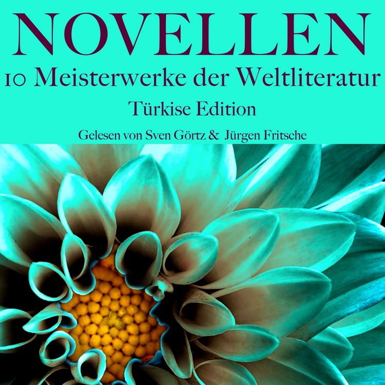 Produktbild: Novellen: Zehn Meisterwerke der Weltliteratur