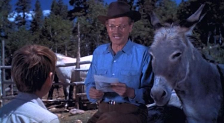 Produktbild: Brighty - Abenteuer im Grand Canyon