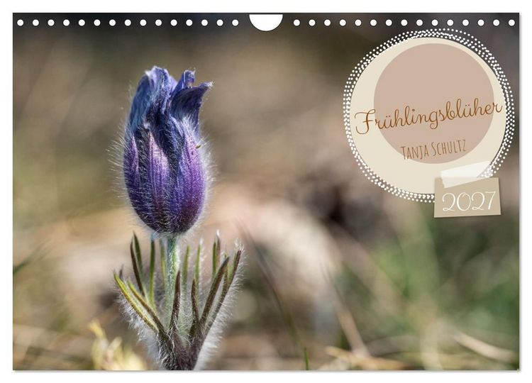 Produktbild: Fr&uuml;hlingsbl&uuml;her - Farbenpracht nach dem Winter (Wandkalender 2027 DIN A4 quer), CALVENDO Monatskalender